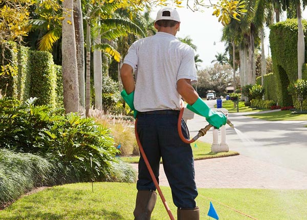 About Cherry Log GA Pest Control Pros